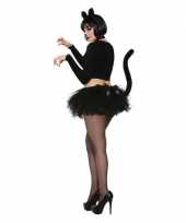 Carnavalskleding catwoman katten poezen rokje zwart staart