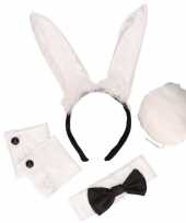 Carnavalskleding playboy bunny setje