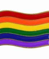 Carnavalskleding regenboogvlag kleuren metalen broche
