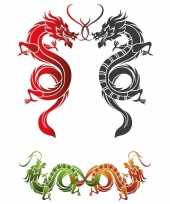 Carnavalskleding tattoo draak plak stickers