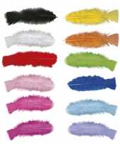 Carnavalskleding veertjes meerkleurig x