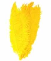 Carnavalskleding verkleed spadonis sierveer geel